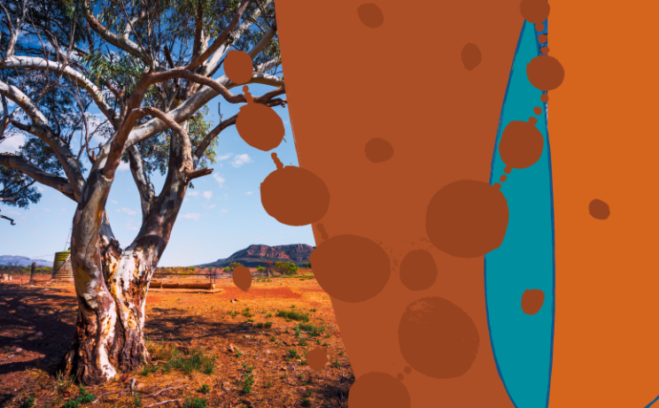 banner image of SA outback